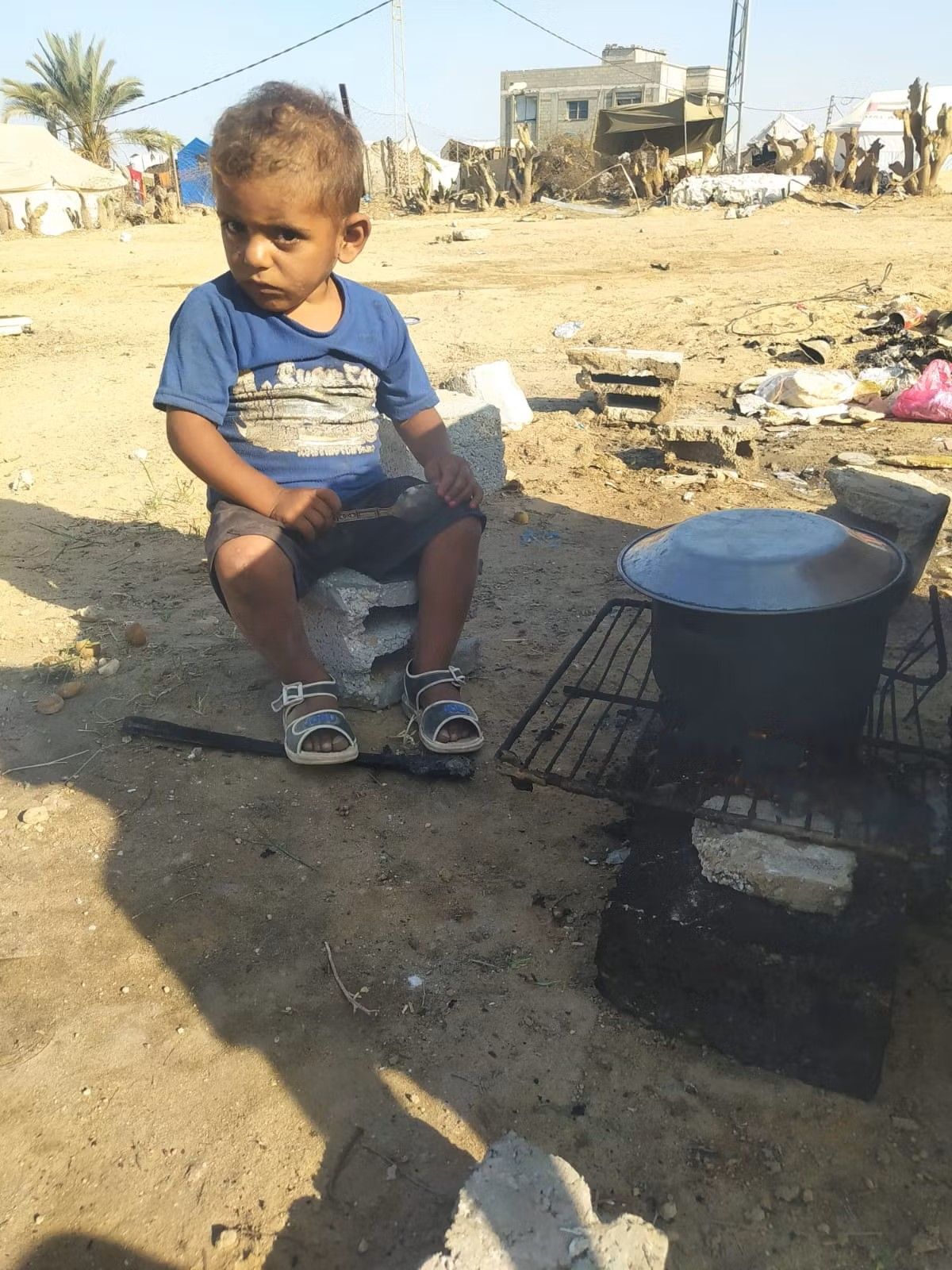 Human Appeal Orphan - Jabr