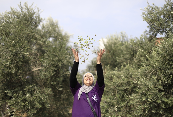 Multiply Your Blessings: The Power of Giving Olive Trees