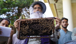 Making the most of your mercy in Kashmir