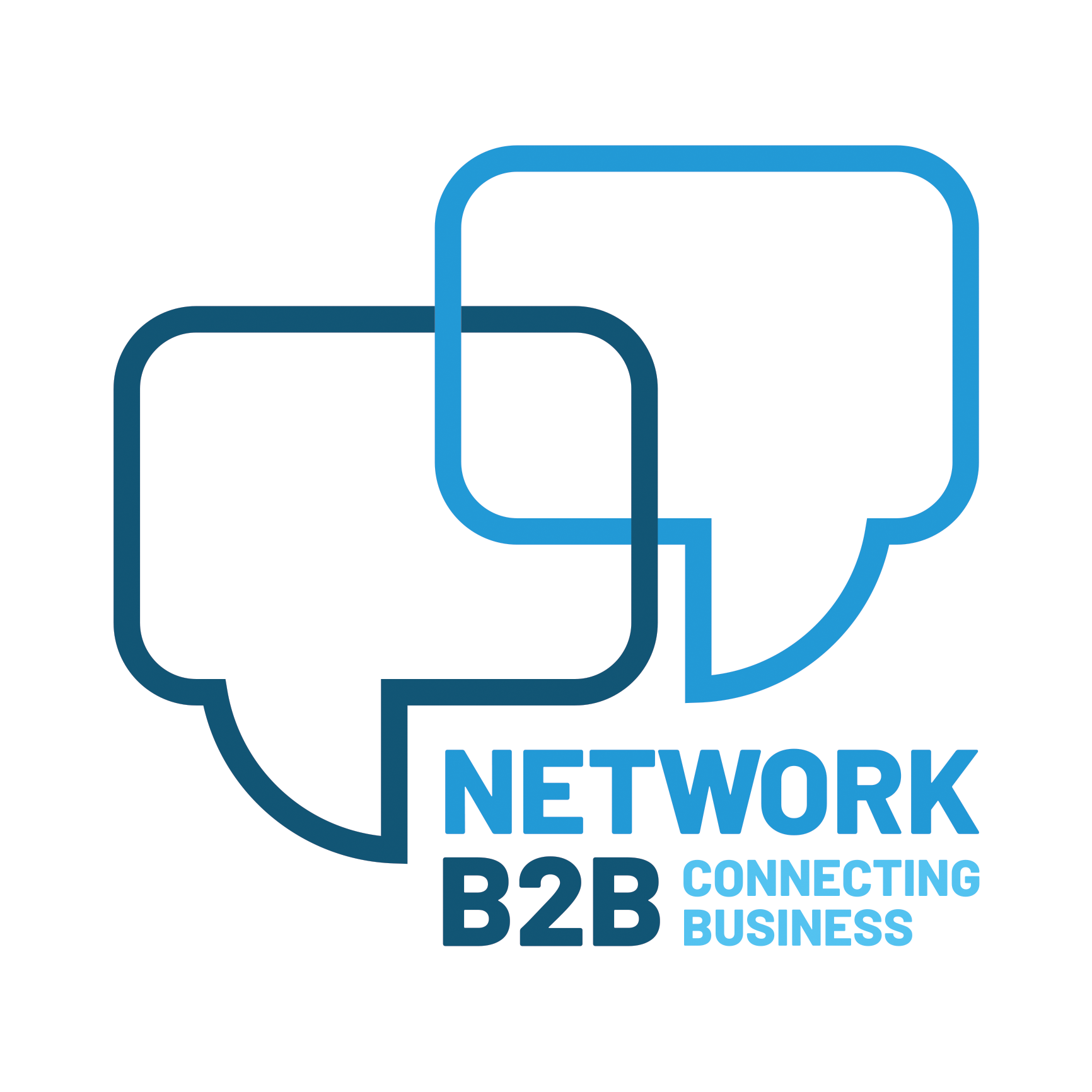 Network B2B logo