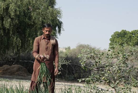 Why Giving Sadaqah Jariyah in Ramadan Carries Even Greater Reward