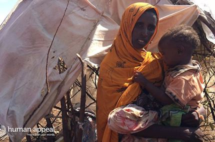 MP warns: ‘Somaliland heading for disaster’