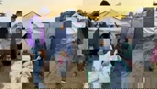 Firewood Distribution