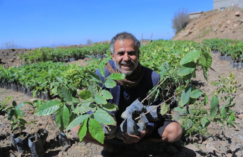 Man surrounded by saplings, illustrating the benefits of Sadaqah