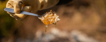 Person wearing gloves, holding a spoonful of honey