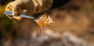 Human Appeal announces new beekeeping livelihood project in Syria