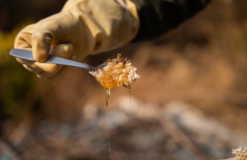 Person wearing gloves, holding a spoonful of honey