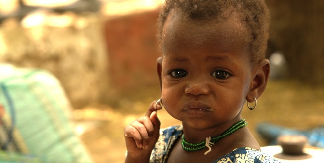 Qurbani - Sudan £79