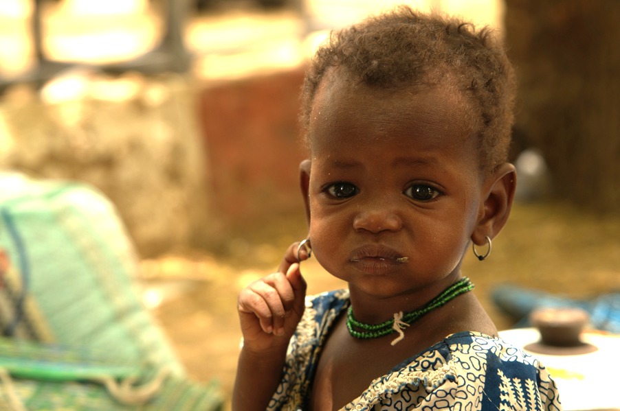 Qurbani - Sudan £79 (Cow share)