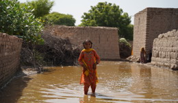 Pakistan Emergency Appeal