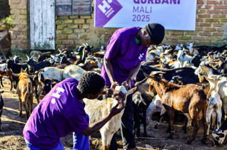 Qurbani - Mali (Goat)