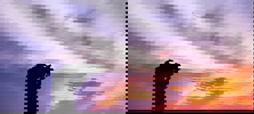 Seven Praiseworthy Characteristics of Ibrahim (AS)