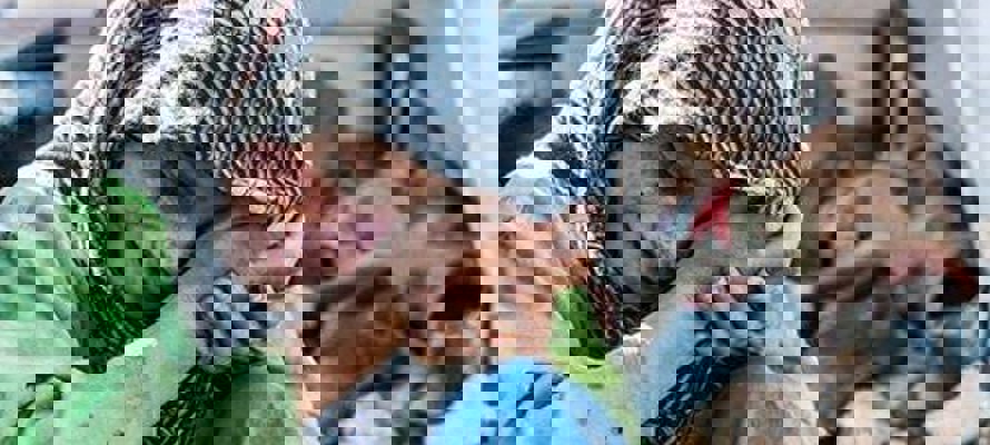 Fresh horrors for the people of Syria as the displacement crisis spirals out of control