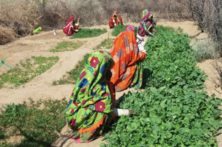 Thar Community Development Fund