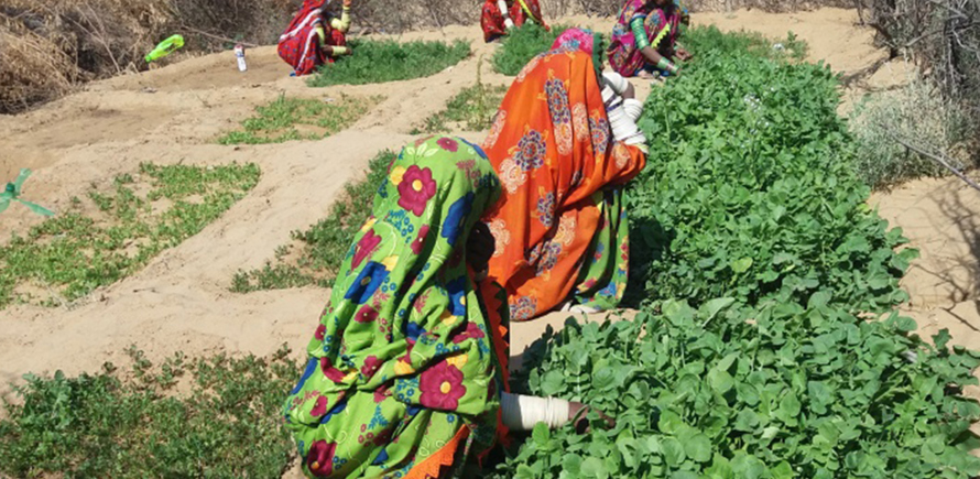 Thar Community Development Fund