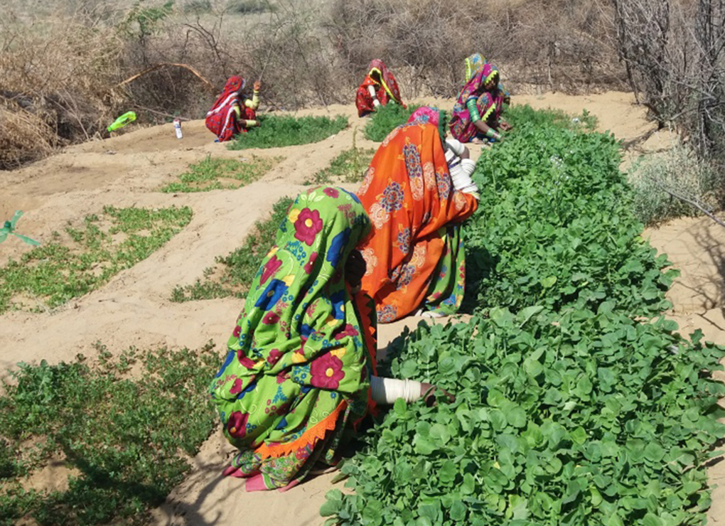 Thar Community Development Fund