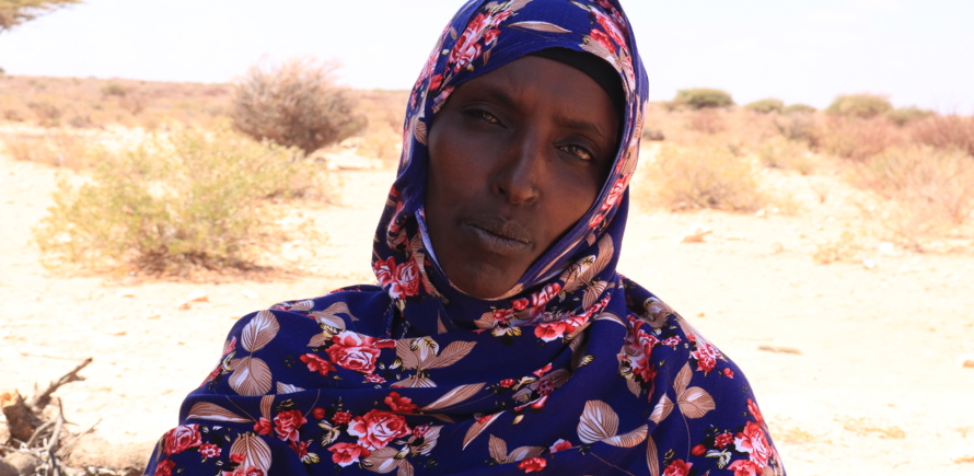 Water, Sanitation and Hygiene Fund (WASH)