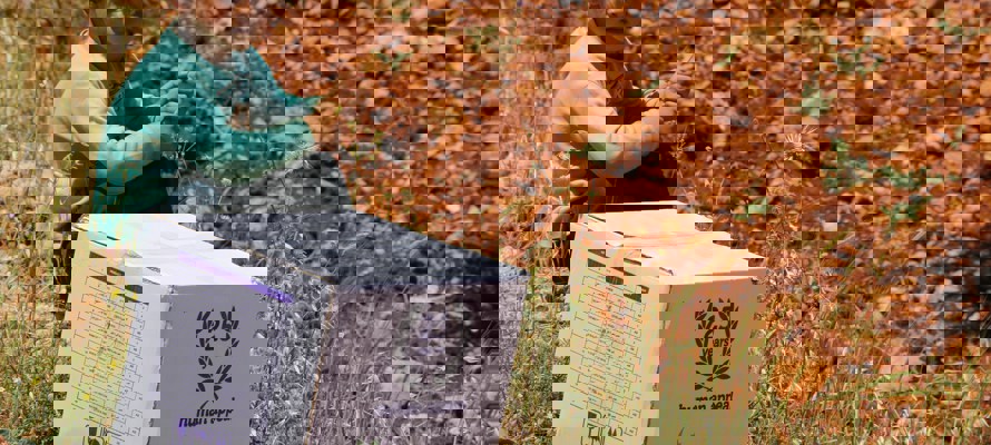 Update: The situation in Syria