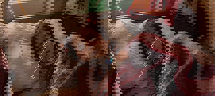 Human Appeal Strongly Condemns Aleppo Hospital Attack