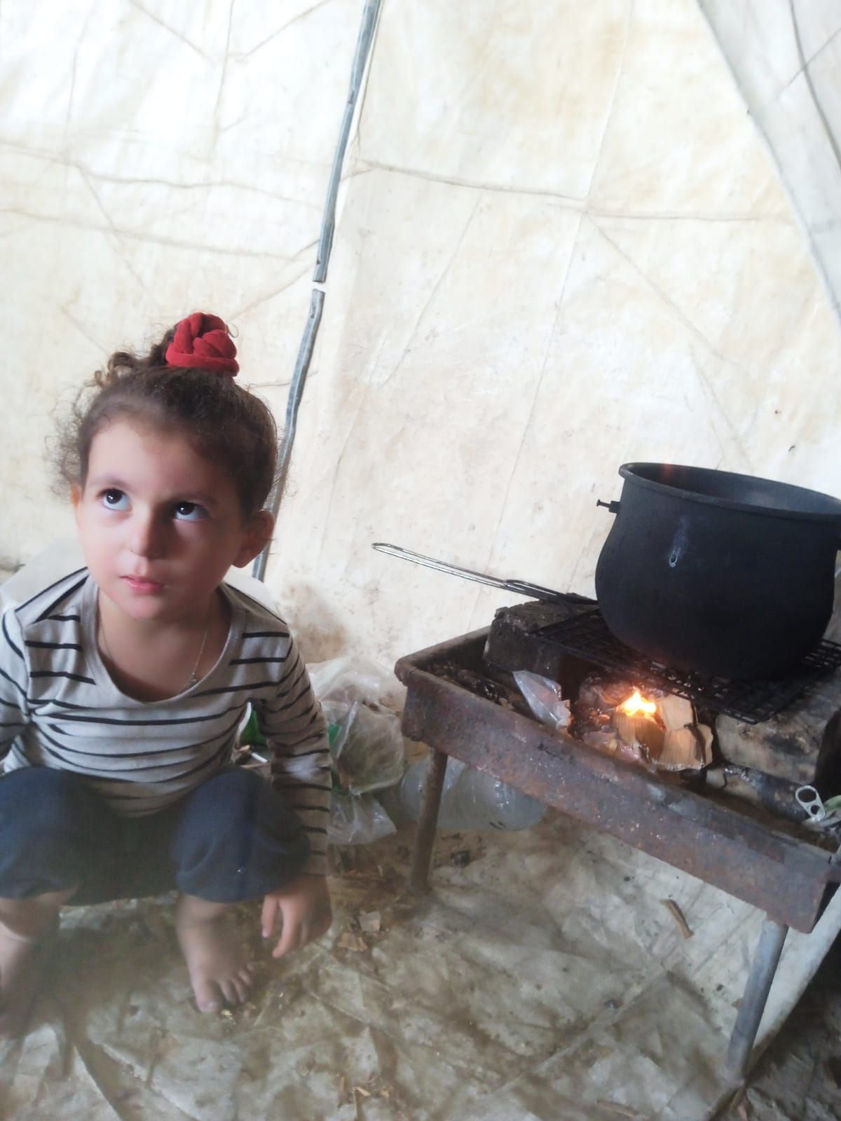 Janan, Human Appeal Orphan from Palestine