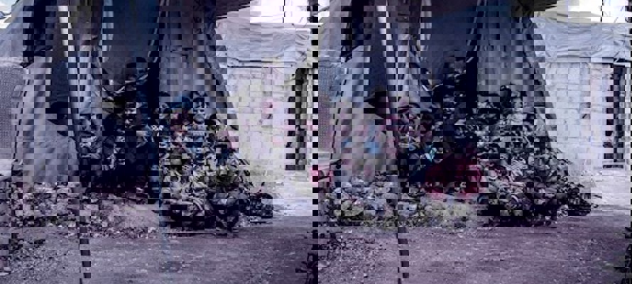 There’s a worldwide killer on the loose and it’s called winter