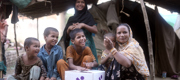 In India, 77,688 families received 4-5 kilograms of beef each.
