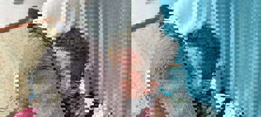 Words from our staff on the ground