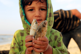 Livelihoods Fund