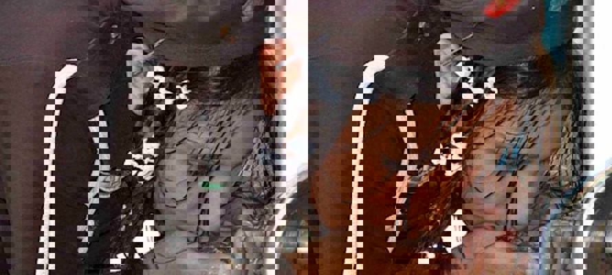 Your donations saved lives in 2017