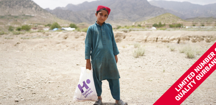 Qurbani - Afghanistan £133 (Cow share)