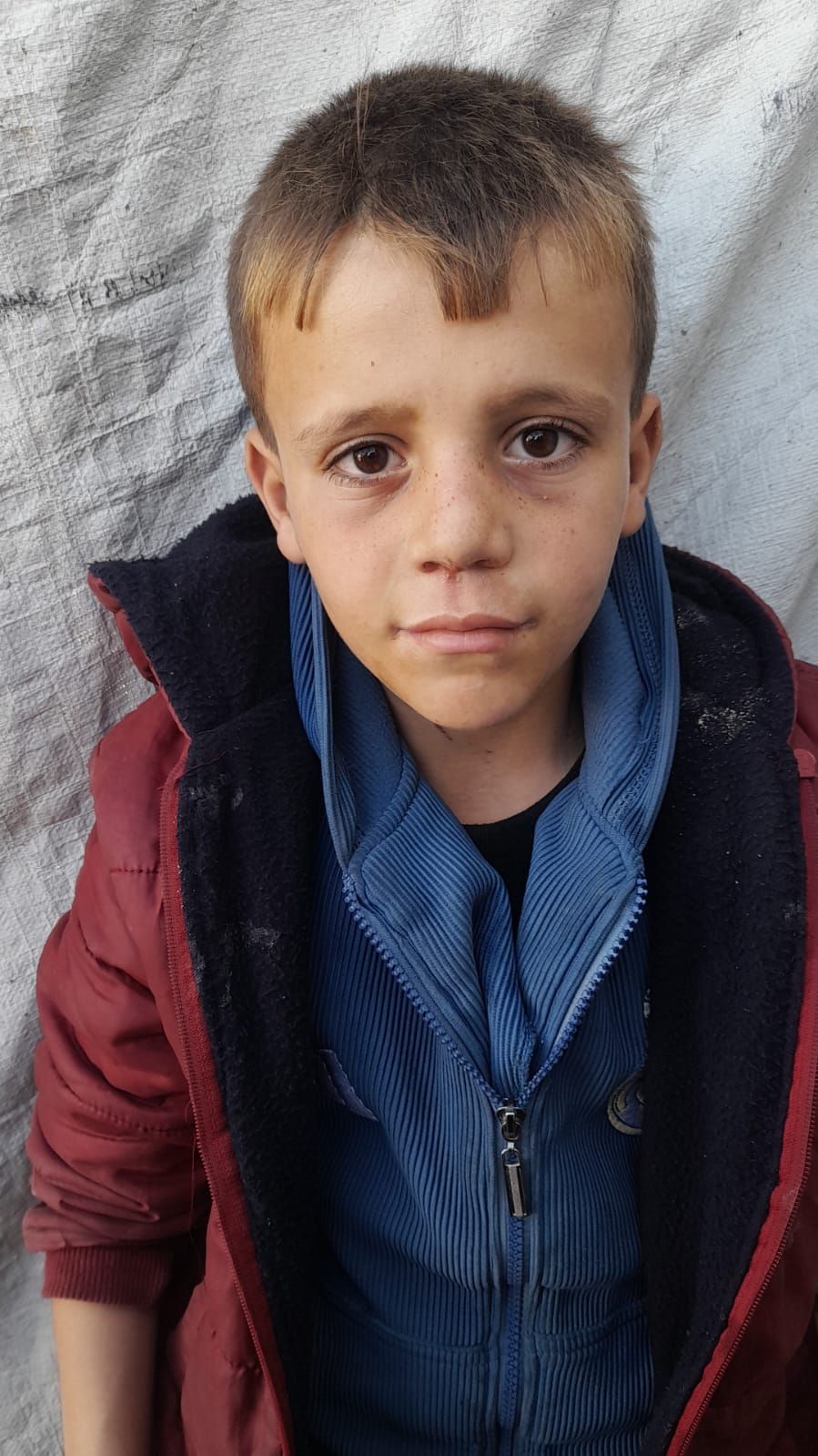 Dawoud, Human Appeal Orphan from Palestine