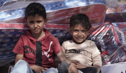 Yemen Emergency Appeal