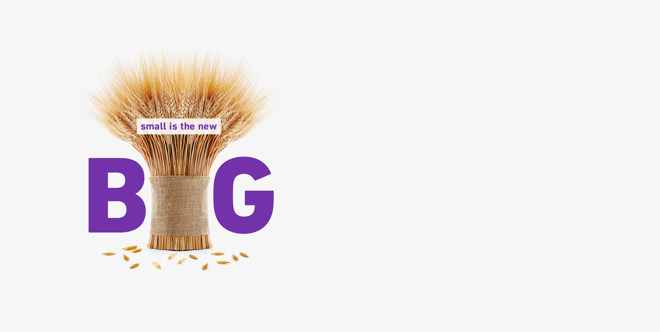 Purple Pound Fund