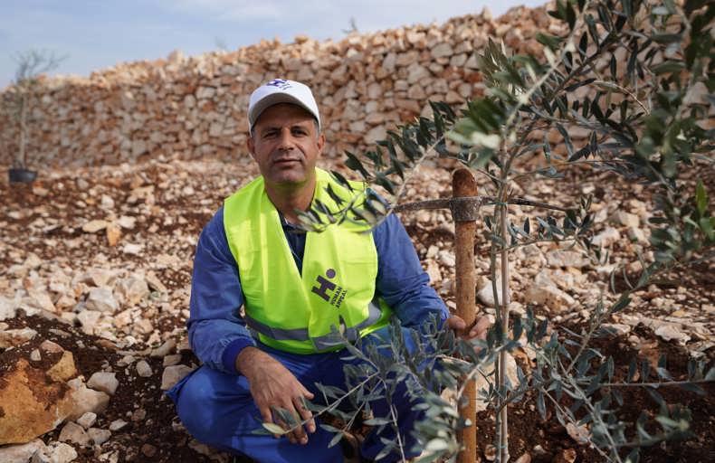 Human Appeal supports the planting of 25,000 olive trees