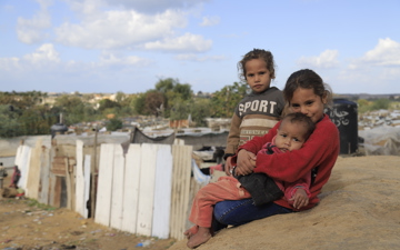 Super Qurbani on behalf of Gaza — £80
