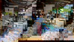 Myanmar Emergency Appeal