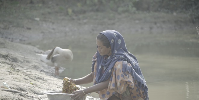 Bangladesh Water Filtration Plants