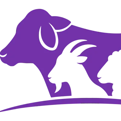 01 - Livestock procurement