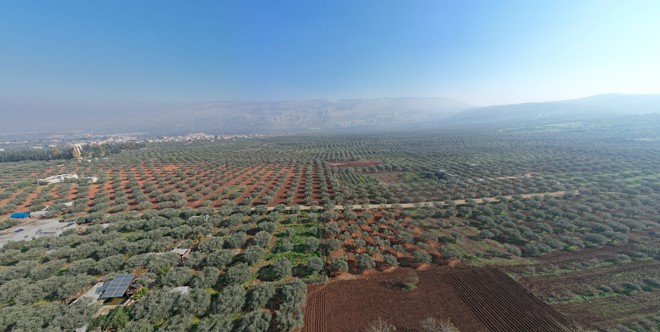 Gardens of Jannah